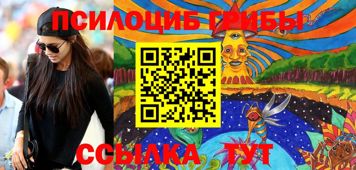 Егорьевск  Псилоцибиновые грибы Psilocybe  купить закладку  Вход с VPN 